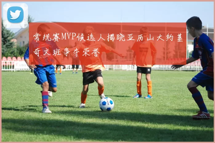 常规赛MVP候选人揭晓亚历山大约基奇文班争夺荣誉