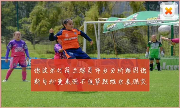 德波尔对荷兰球员评分分析赖因德斯与科曼表现不佳萨默维尔表现突出